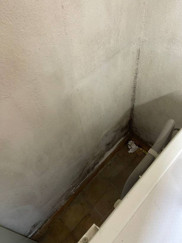 Desordres d humidite sur un mur avant traitement
